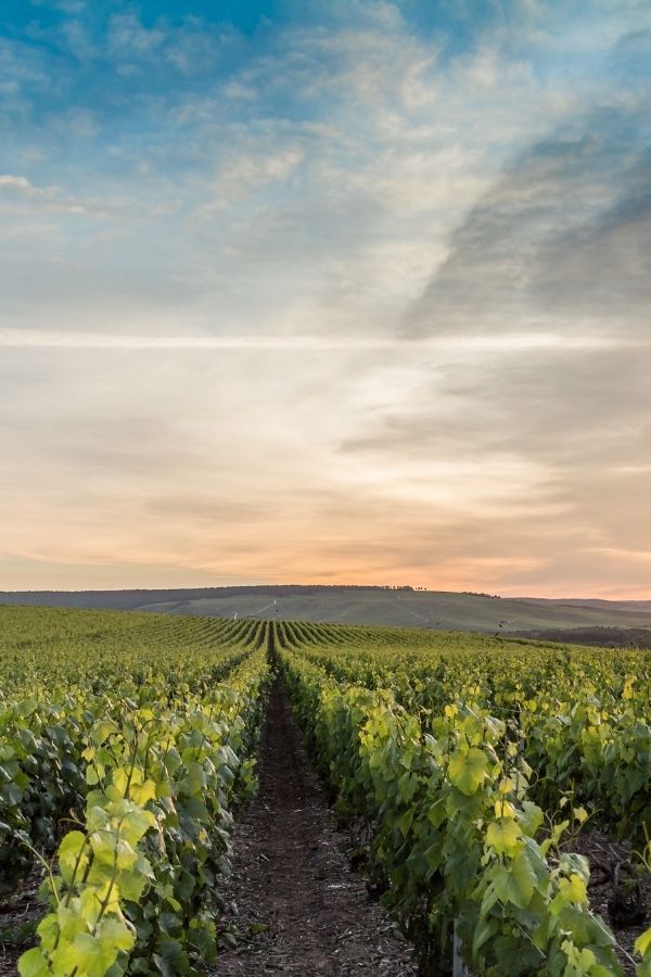 Couples bucket list - champagne tasting in Champagne, France